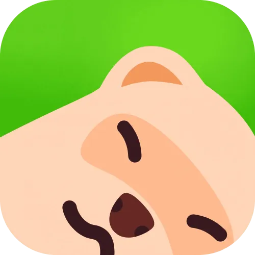 Норка VPN  icon
