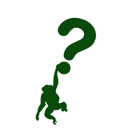 Wondering Chimp icon