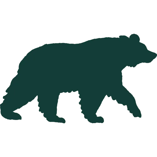 Filippo Salvioni icon