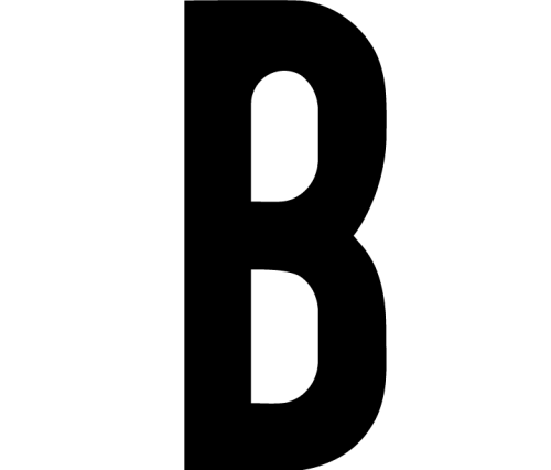 Besna Institute Inc. icon