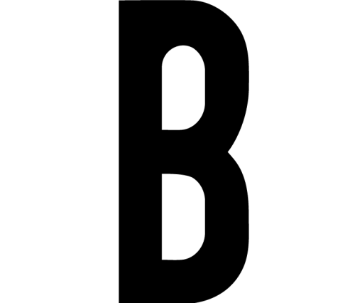 Besna Institute Inc. icon