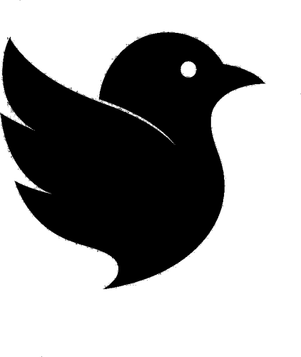 Blackbird IT Solutions icon