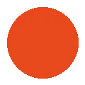 The New World icon