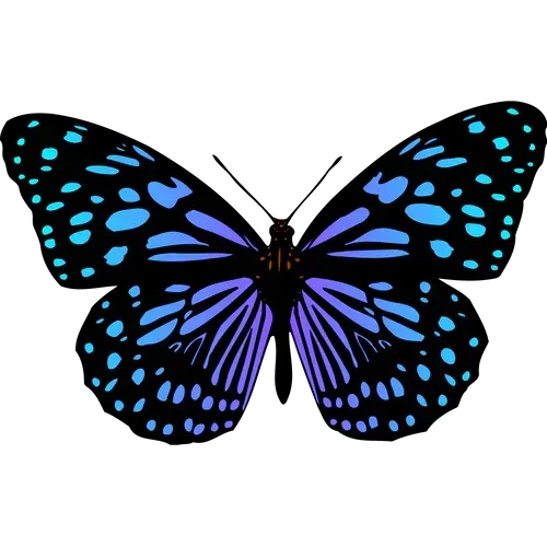 Light Resonance icon