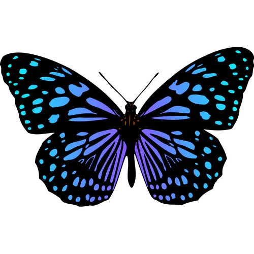 Light Resonance icon