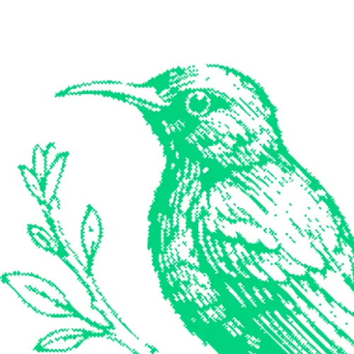 The Palestinian Folk Music Archive icon