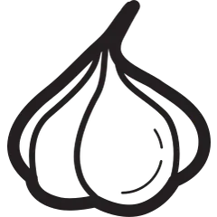 건강검진 항목 icon