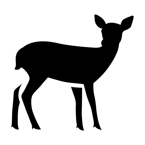 The House of First Light icon