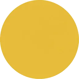 manil c. d. g. icon