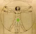 The DaVincians icon