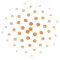 Phyllotaxis icon