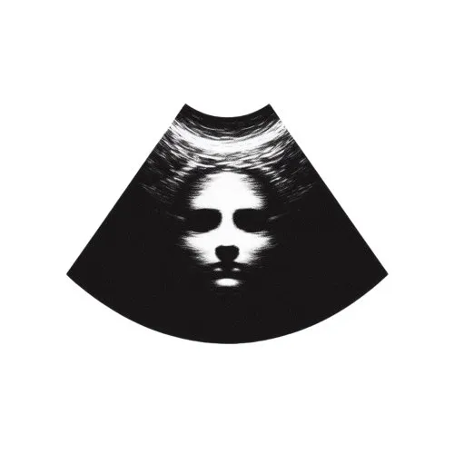 peter zhegin | future platform icon