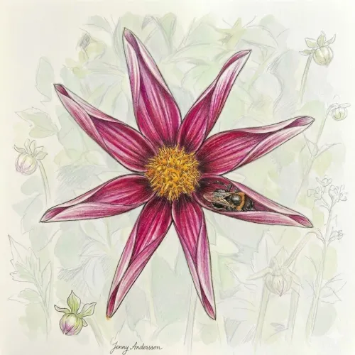 Rooted in Potomac: Gardens for Health & Longevity icon