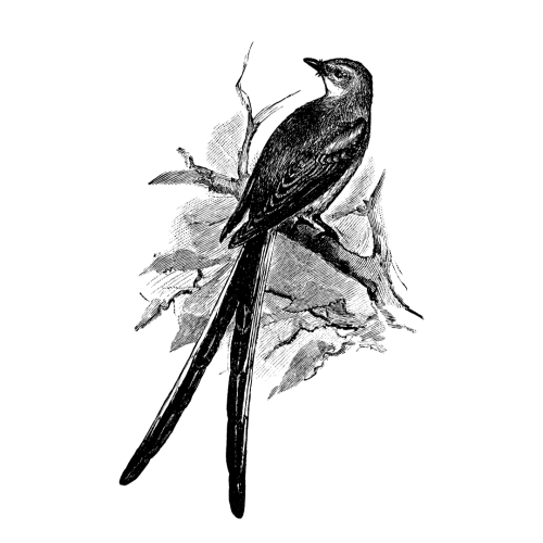 The Prairie Guild icon