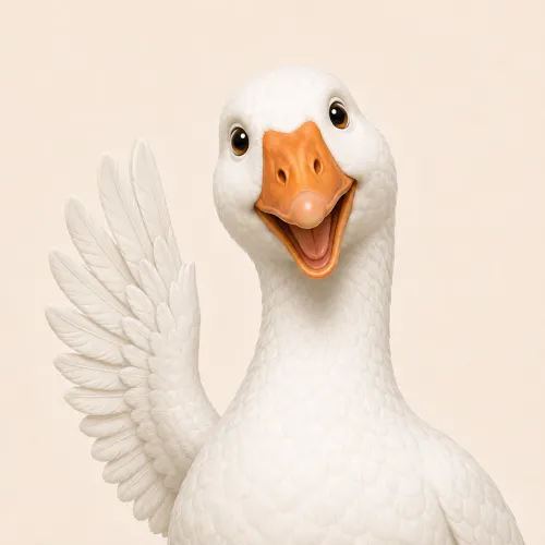 Navigoose icon
