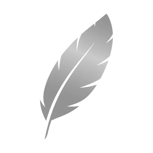 Navigoose icon