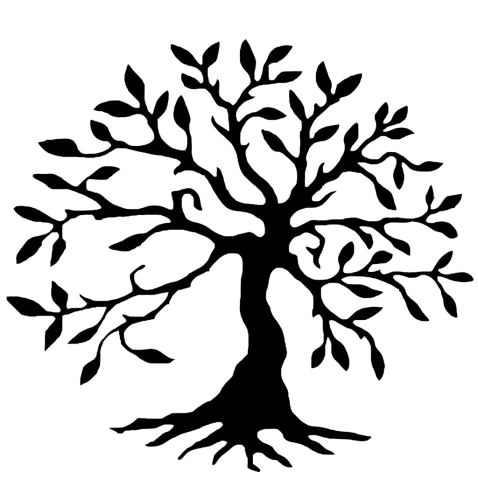 Chamanisme au tambour à Arles  icon