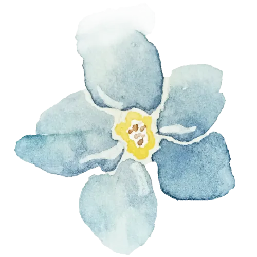 Forget-Me-Not Journal ✿ Le Myosotis icon