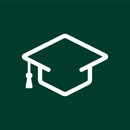 thesirzone icon