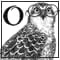 The Osprey icon