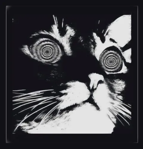 No Mad Gardens icon