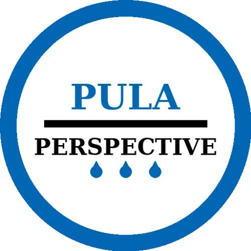 Pula Perspective icon