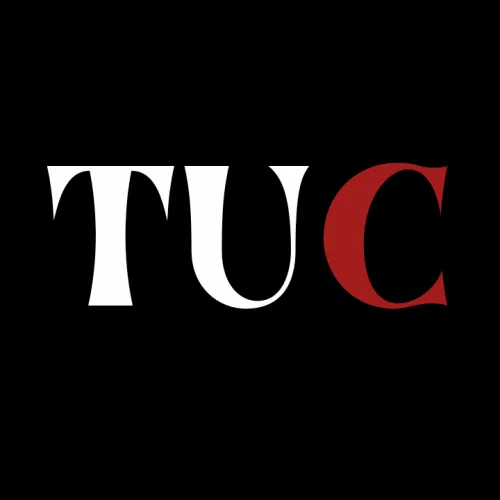 The Unconventional Curator icon