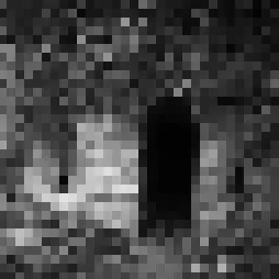 Fight in the Shade icon