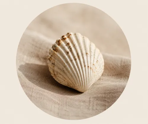 Zonder Pardon icon