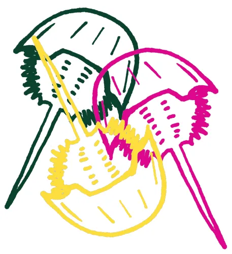 Limulus & Hound icon