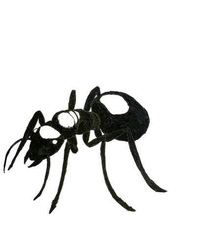 Ants icon