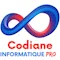 Codiane Professionnel icon