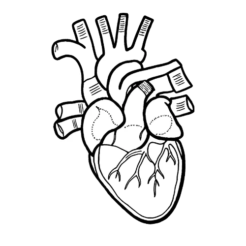 A Young Doctor's Journey icon