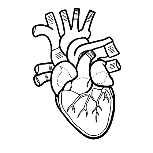 A Young Doctor's Journey icon