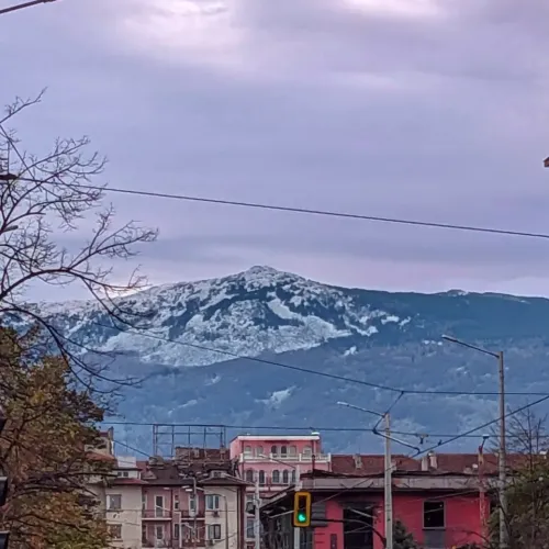 Notes from New Europe icon