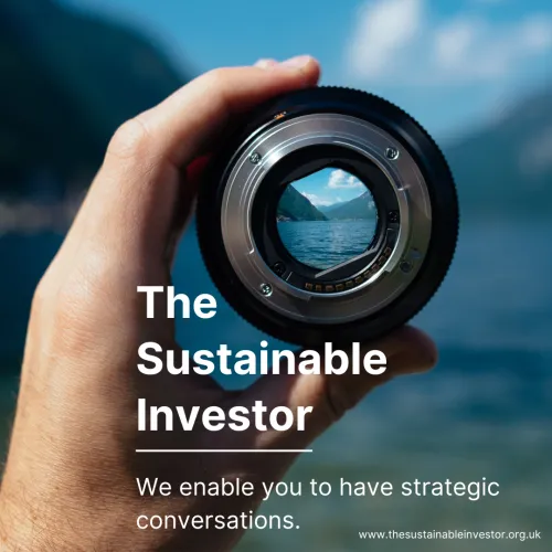 The Sustainable Investor icon
