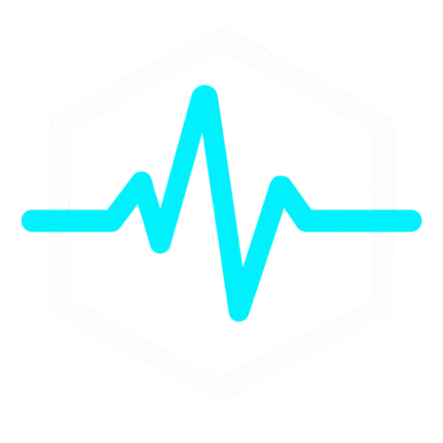 Packet Pulse icon
