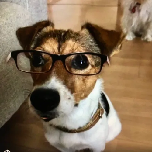 リブラリア：野村一夫のセオリー道場 icon