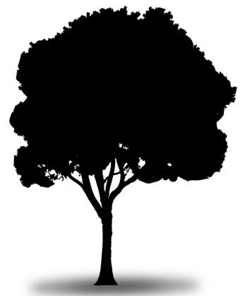 지혜나무숲 icon