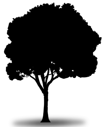 지혜나무숲 icon