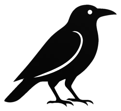 TheRavenTech icon