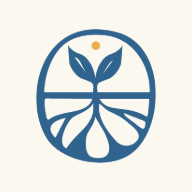 Transition News icon