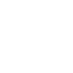 MetaSlave icon
