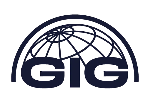 Global Insights Group icon