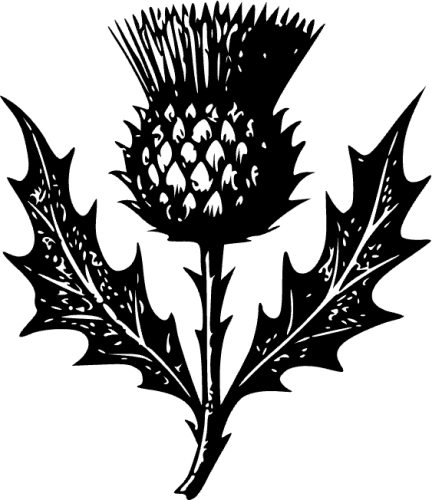 The Thistle icon