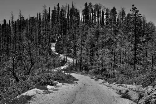 Thorin Klosowski icon