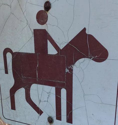 Words I've Found icon