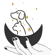 Voiceless Whispers icon