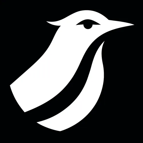 Nightingale Int. icon