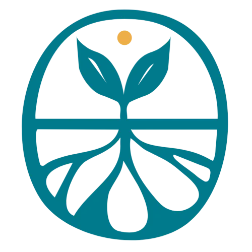 Practising Transition icon